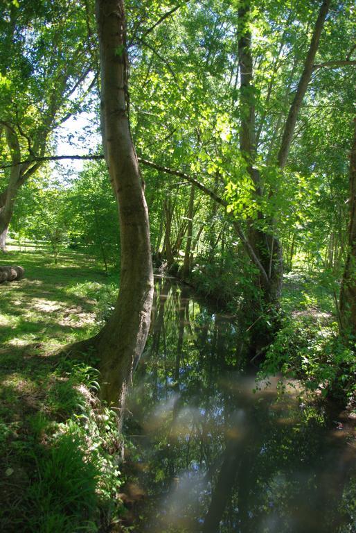 Moulin De Coupigny Villa Fontenille-Saint-Martin-d'Entraigues Szoba fotó